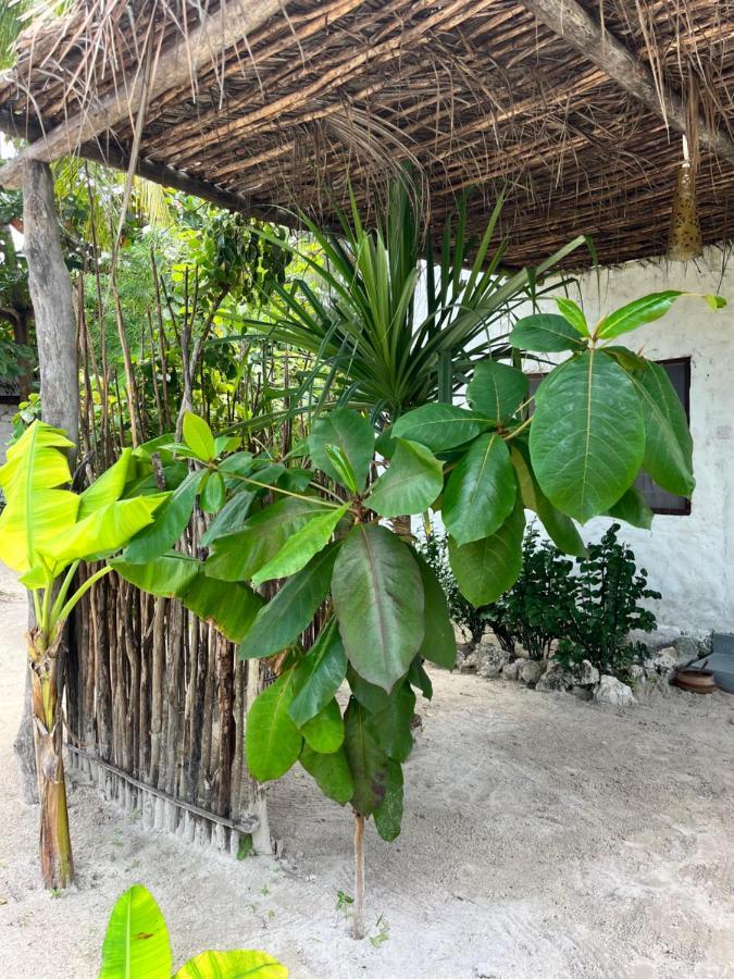Karanga Bungalows Michamvi Kae Номер фото